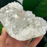 Apophyllite 320g AP1509