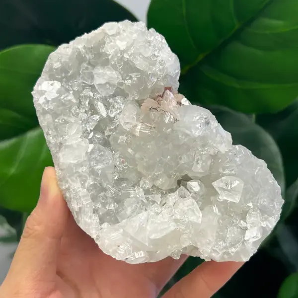 Apophyllite 320g AP1509