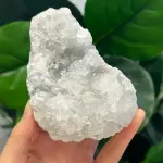 Apophyllite 360g AP1512