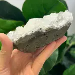 Apophyllite 503g AP1513