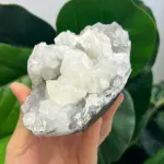 Apophyllite 503g AP1513