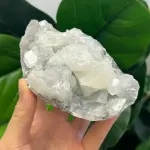 Apophyllite 503g AP1513