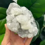 Apophyllite 503g AP1513