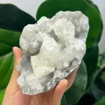 Apophyllite 503g AP1513