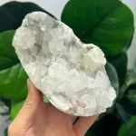 Apophyllite 714g AP1511