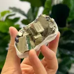 Collection grade Peruvian pyrite PY1508