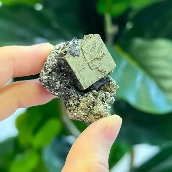 Peruvian pyrite PY1512