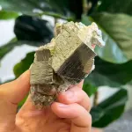 Peruvian pyrite PY1519