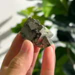 Peruvian pyrite PY1529